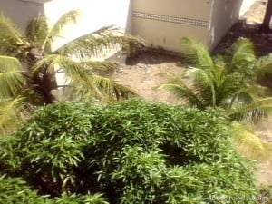Imagem obtida do 2º andar do Lyceu.