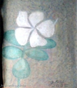 "Quando as palavras fogem, as flores falam." (Bruce W. Currie)