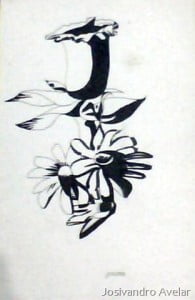 "Determinada flor é, em primeiro lugar, uma renúncia a todas as outras flores. E, no entanto, só com esta condição é bela." (Antoine de Saint-Exupéry)