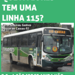115 da flores