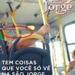 chega jorge o adesivo do 0252 1