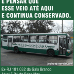 não virou dragão