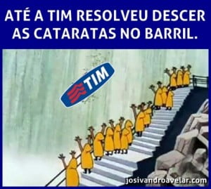 tim no barril