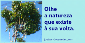 olhe 252520a 252520natureza thumb 25255B12 25255D