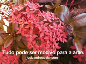 tudo pode ser motivo para a arte