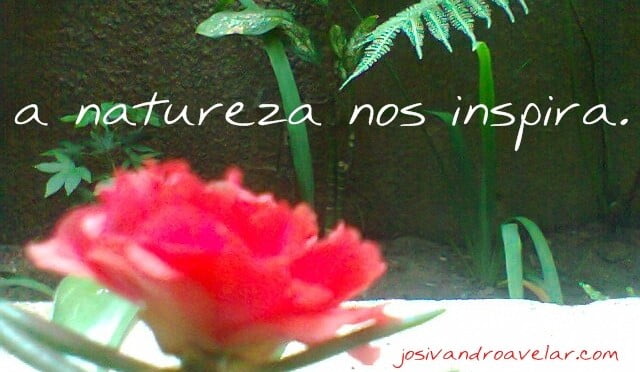 a 252520natureza 252520nos 252520inspira thumb 25255B2 25255D