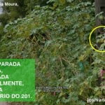 parada 252520camuflada thumb 25255B2 25255D