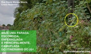 parada camuflada