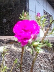 2013-10-09 09.41.45