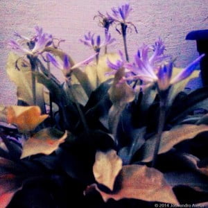 2014-02-16 17.53.22