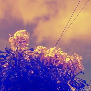 camera_20140426141201715