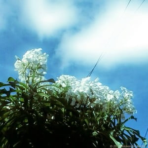 camera_20140426141245294