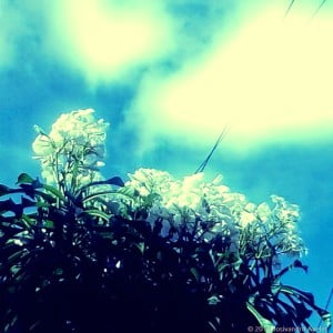 camera_20140426141337160