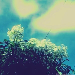 camera_20140426141413759