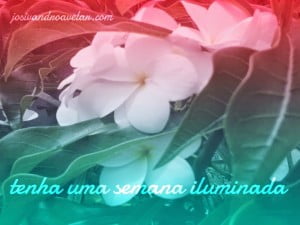 tenha uma semana iluminada 2