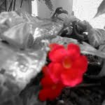 2014 03 30 12.34.18