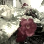 2014 03 30 12.34.18 20140427164425272