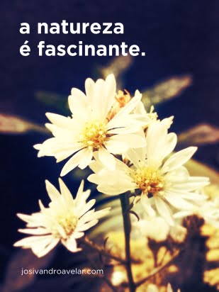 A natureza é fascinante.