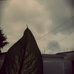 camera 20140429142341568