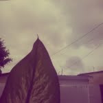 camera 20140429142411306
