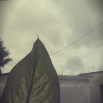 camera 20140429142524296