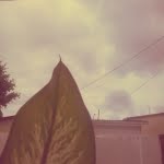camera 20140429142554404