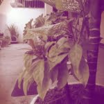 camera 20140502162031404