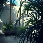 camera 20140503134432730