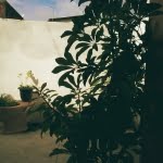 camera 20140503140135624