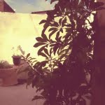 camera 20140503140225585