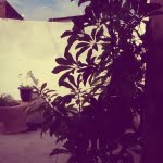 camera 20140503140413375