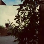 camera 20140503140544331