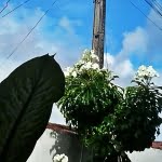 camera 20140503142021863