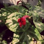 camera 20140504130712138