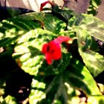 camera 20140504130927925