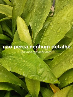 Não perca nenhum detalhe. Logo vocês terão coisas que jamais viram por aqui.