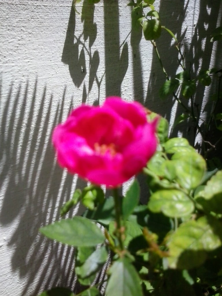 2015-11-26 11.53.57