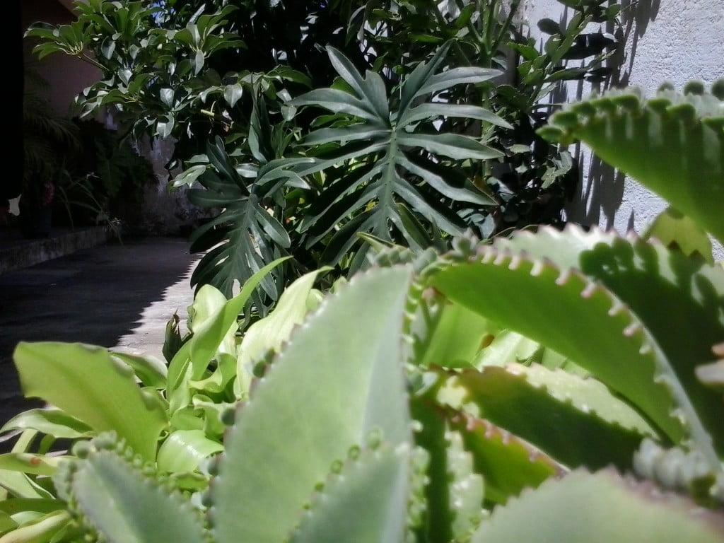 2015-11-26 11.54.07