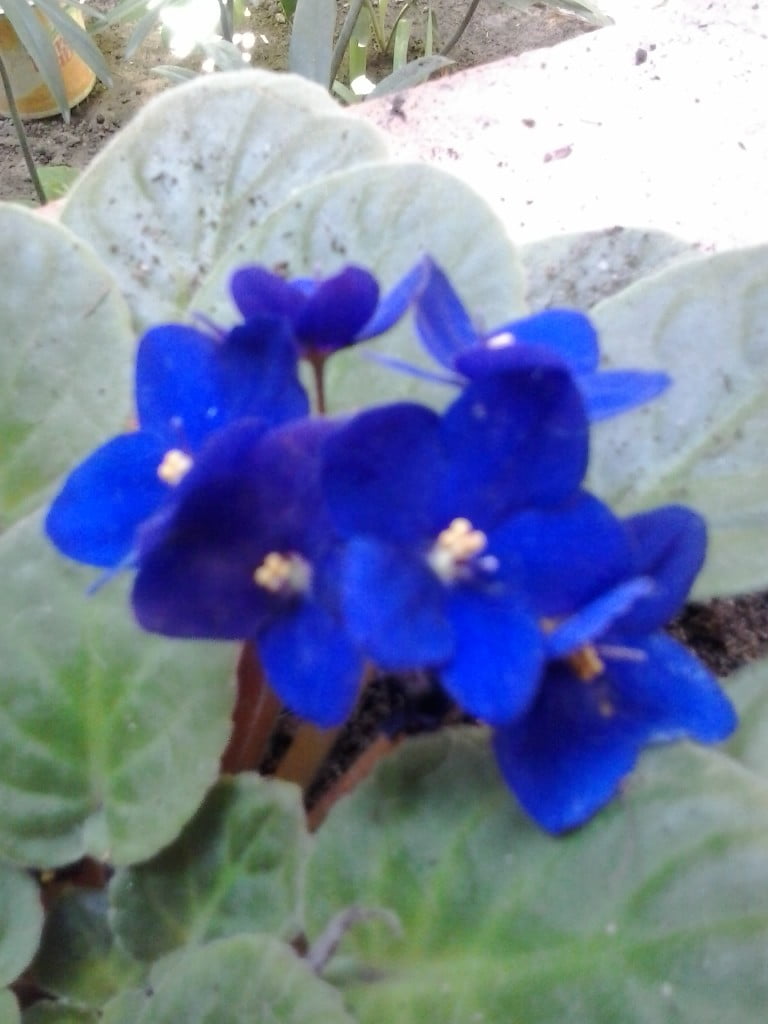 2015-11-26 11.55.26
