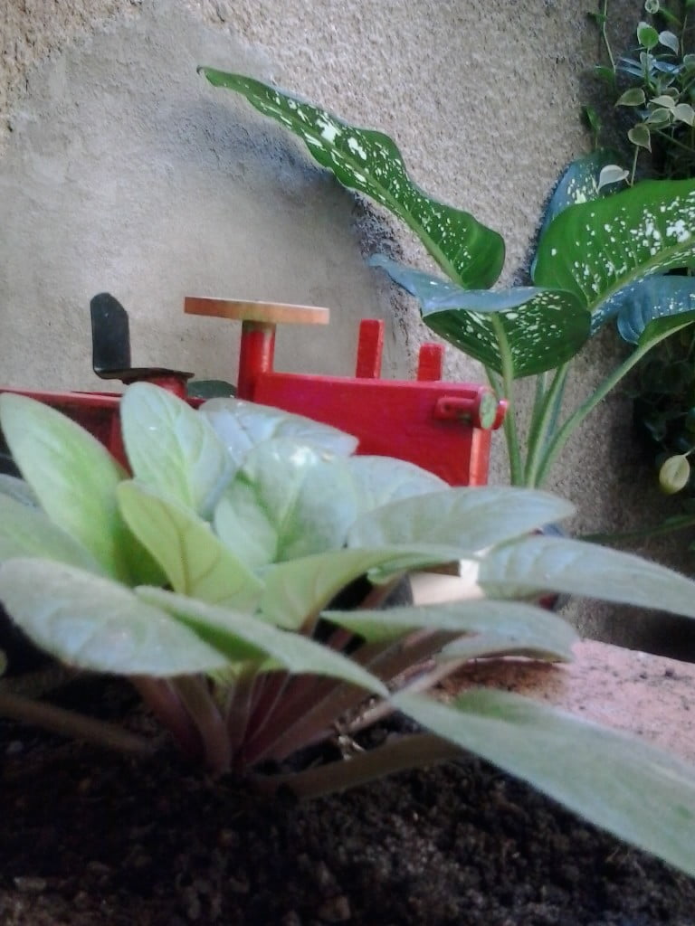 2015-11-26 12.07.16