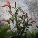 2016 04 10 14.16.21 e1460331293418