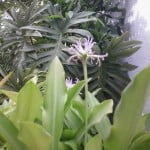 2016 04 10 14.16.41 e1460331417830