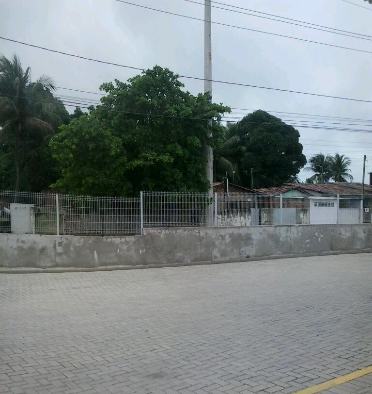 METAMORFOSE DE UMA AVENIDA 1 Avenida Santa Bárbara, por trás do Mangabeira Shopping.