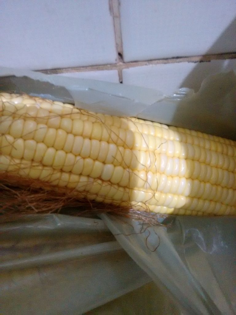 wp-1466720629396.jpg