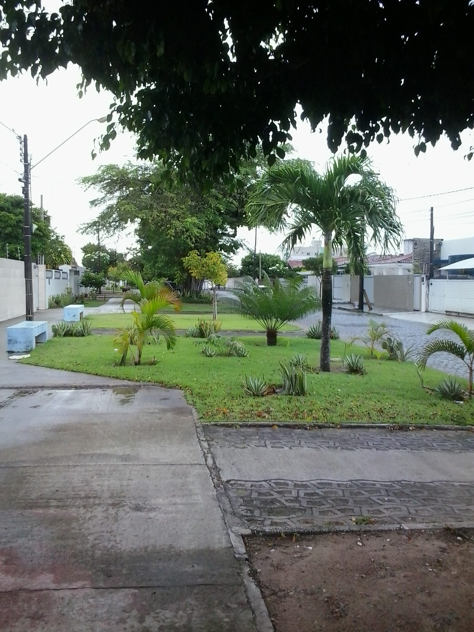 ANDAR NO BAIRRO É UMA AVENTURA 1 2016 08 03 15.24.19.jpg e1470435553457
