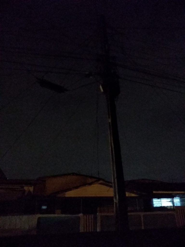 FUI EU QUE PEDI 1 IMG 20190801 192512