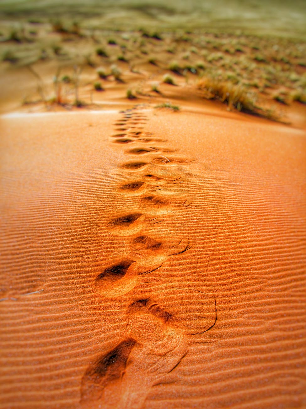 Enfim, saí 1 Passos, dunas, dunas de areia. Para cada passo que puder dar, saí por aí.