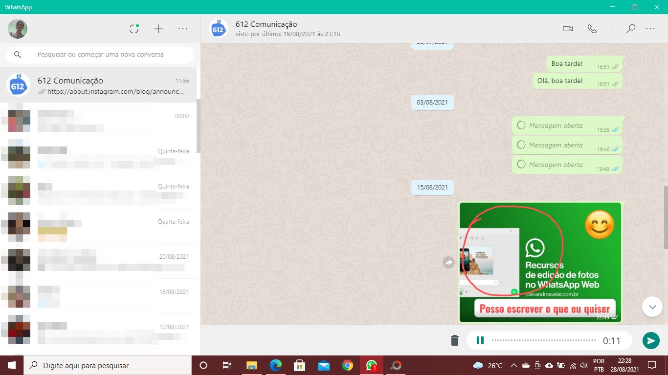 A mudança das cores do WhatsApp 3 cats3
