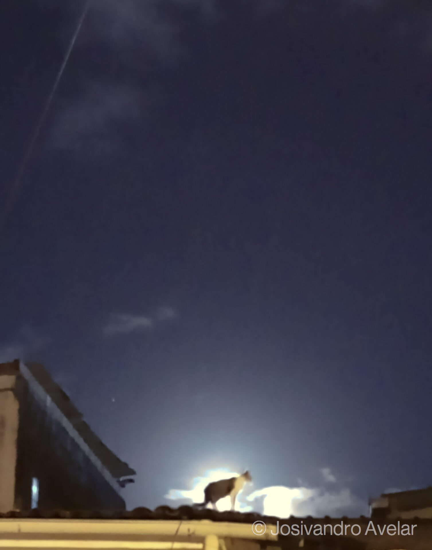 Um gato e a Lua Cheia 1 Imagem do céu às 18:29, contendo telhados e um gato por trás da luminosidade da Lua Cheia. Fim da descrição.