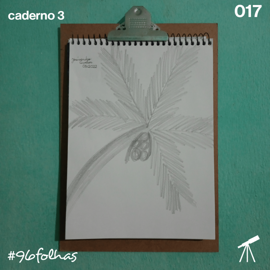#96folhas- Coqueiro 1 Um coqueiro quando não se tem uma ideia na cabeça, apenas uma sombra para se proteger.